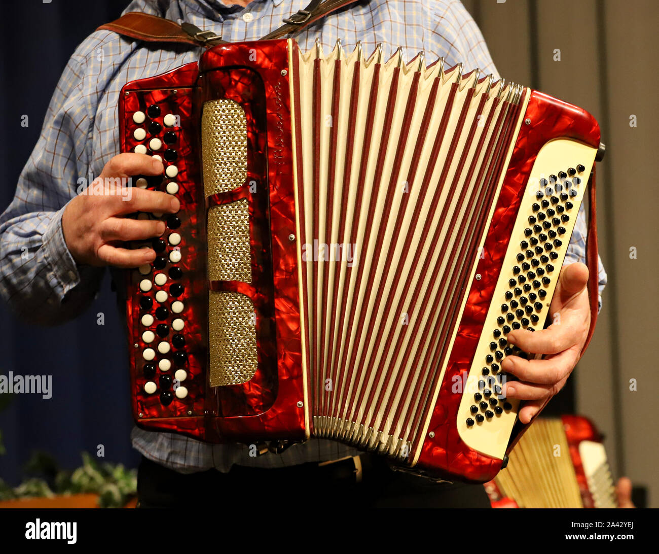 accordion,man playing the accordion Stock Photo