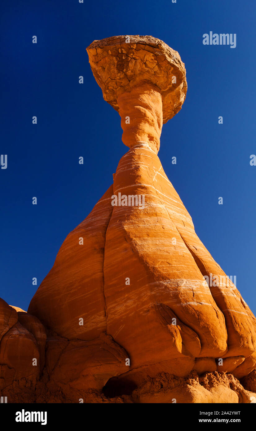 Rock formations in the shape of toadstools, Grand Staircase Escalante National Monument, Utah. Stock Photo