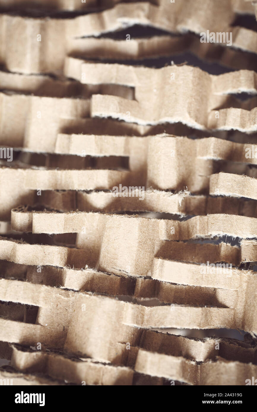 Close up picture of shredded cardboard, selective focus. Stock Photo