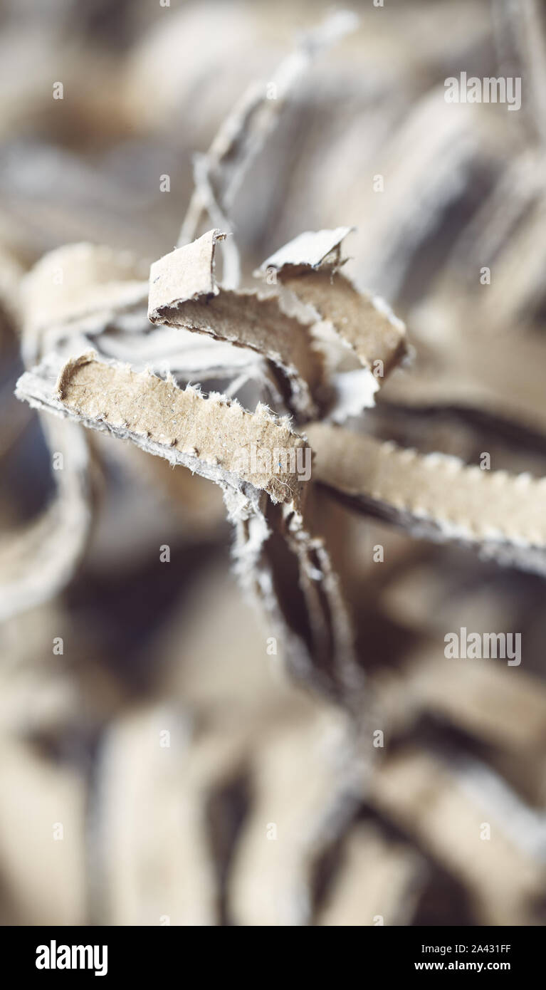 Close up picture of shredded cardboard, selective focus, color toning applied. Stock Photo