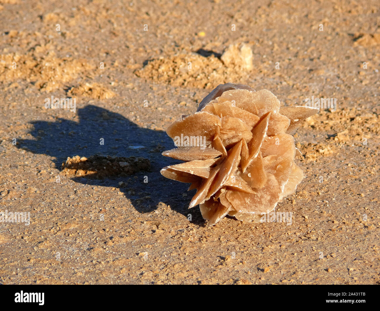 desert rose, Sahara desert, Tunisia, North Africa Stock Photo - Alamy