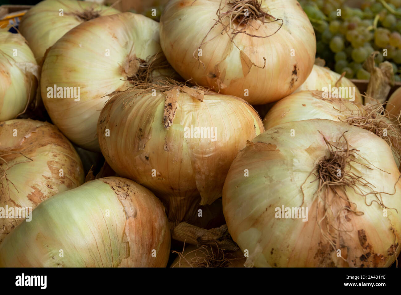 White onions in wooden crate at farmers market Stock Photo