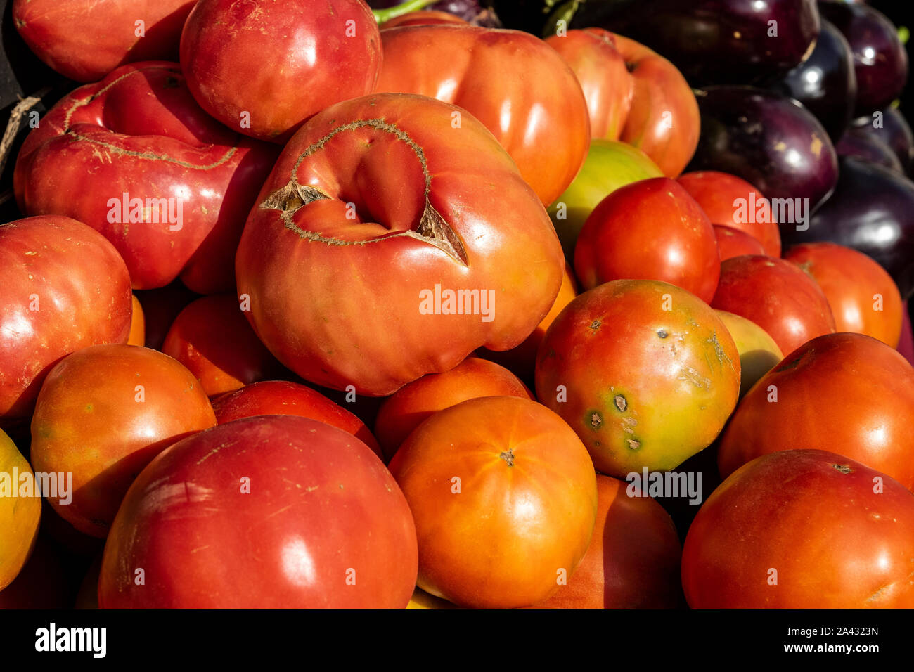 Tomatoes in the local organic products market, León, Spain Stock Photo
