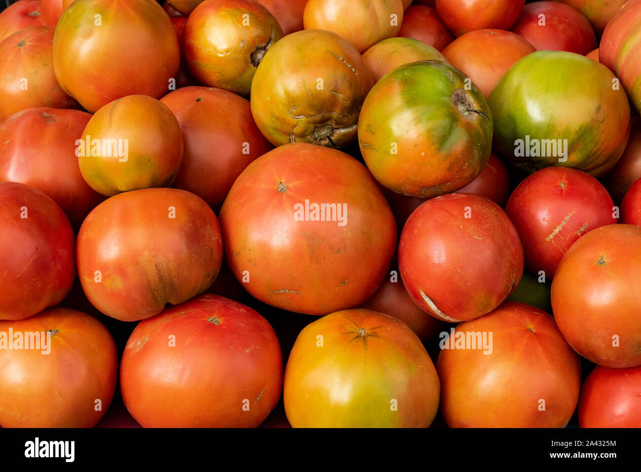 Tomatoes in the local organic products market, León, Spain Stock Photo
