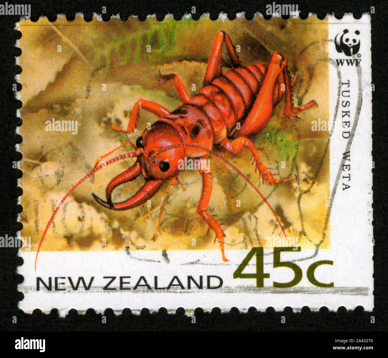 Stamp print in New Zealand,Tusked Weta Stock Photo
