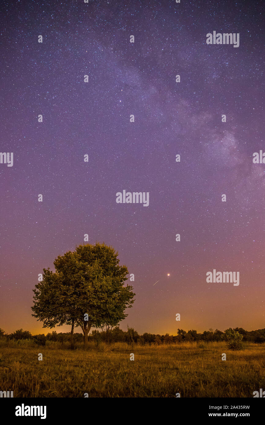 Clear purple sky with stars, lonely field and tree Stock Photo