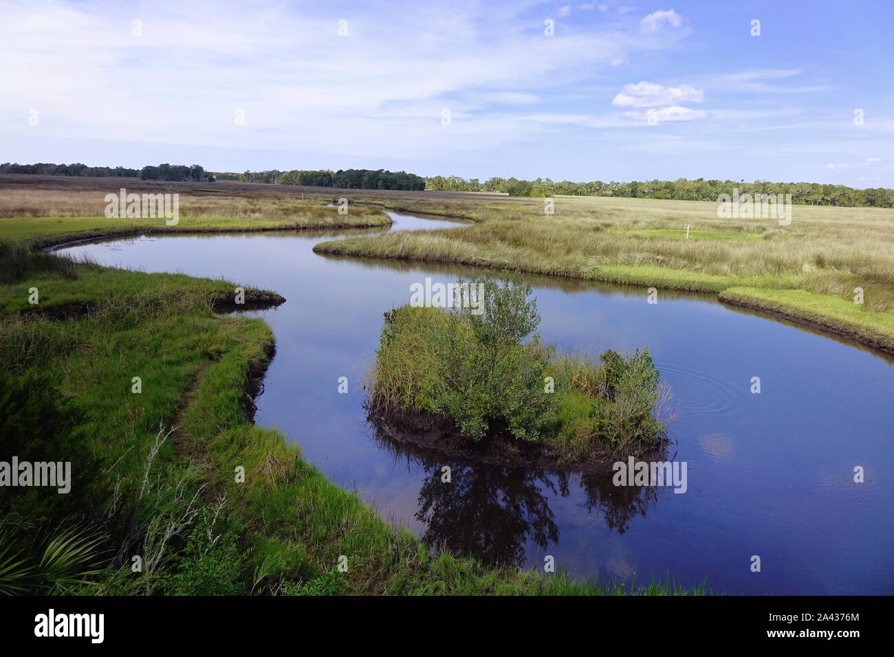 Salt marsh, Chassahowitzka National Wildlife Refuge, Homosassa, Florida Stock Photo