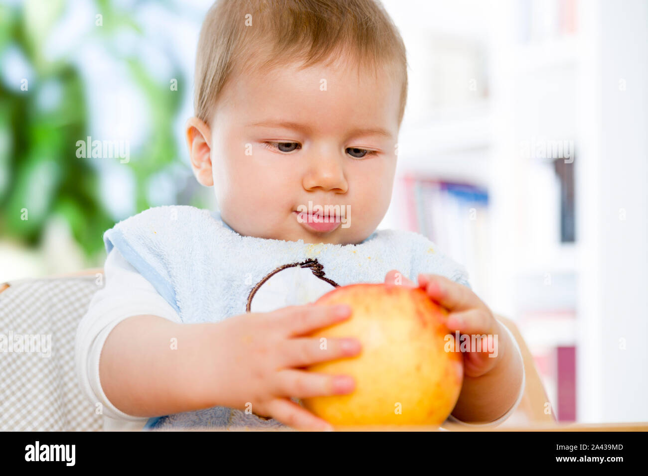 Cute baby boy holding an apple in his hands. Stock Photo