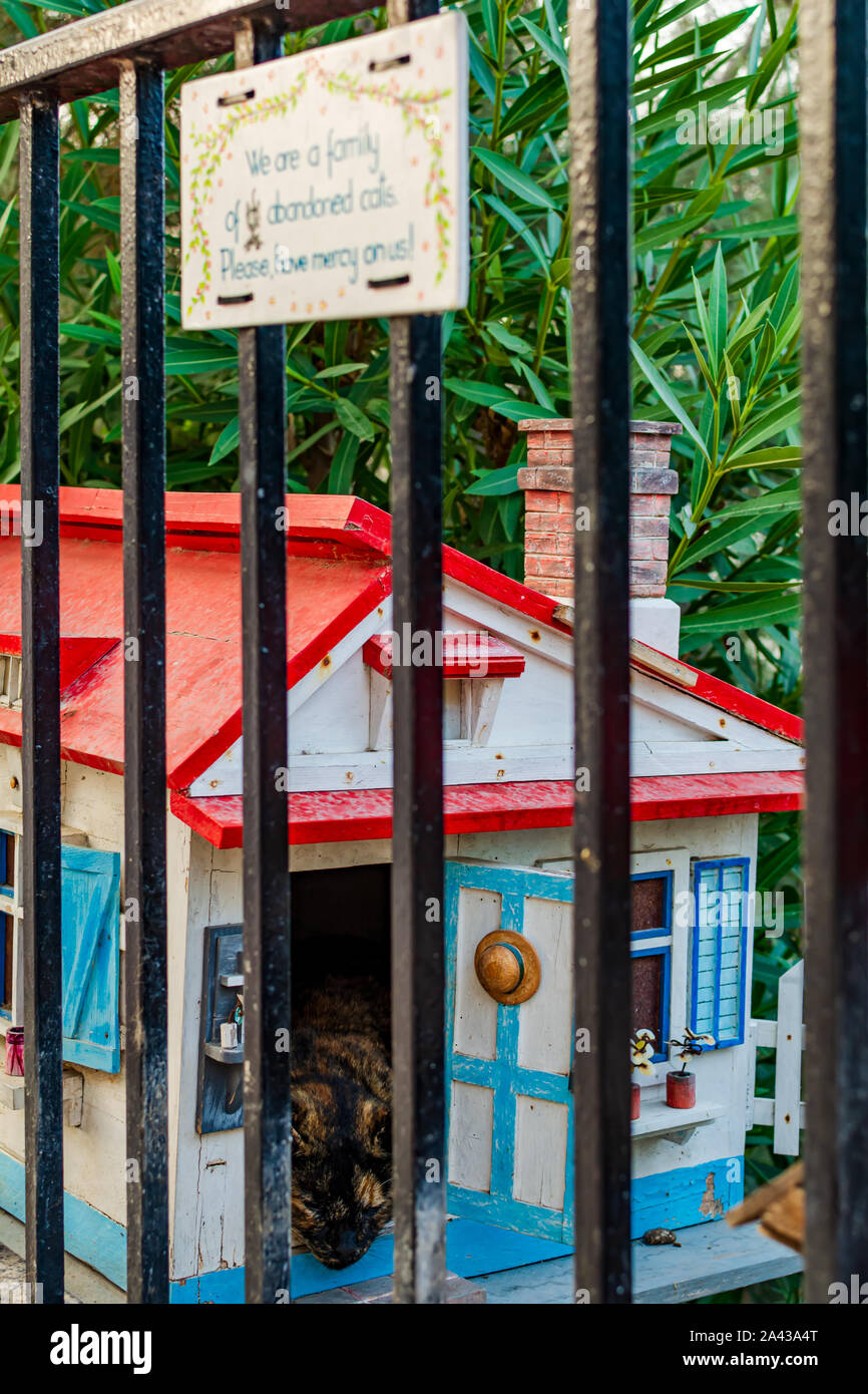 Sign and colorful cat house with cat inside in the small cat village in Independence Garden in Sliema, Malta. Stock Photo