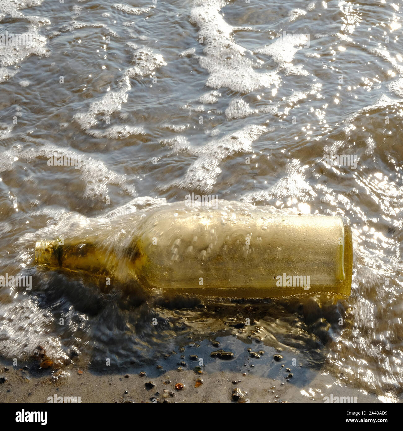 Washed up bottles, at the Beach at Dead Horse Bay, Glass Bottle Beach, Barren Island, Jamaica