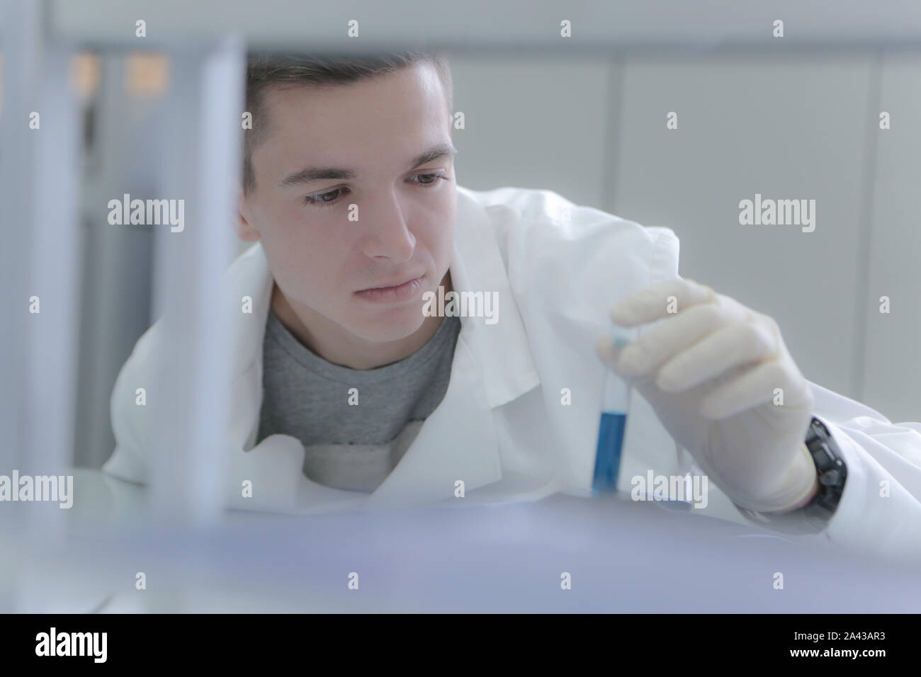Young male scientist doing experiments in laboratory Stock Photo