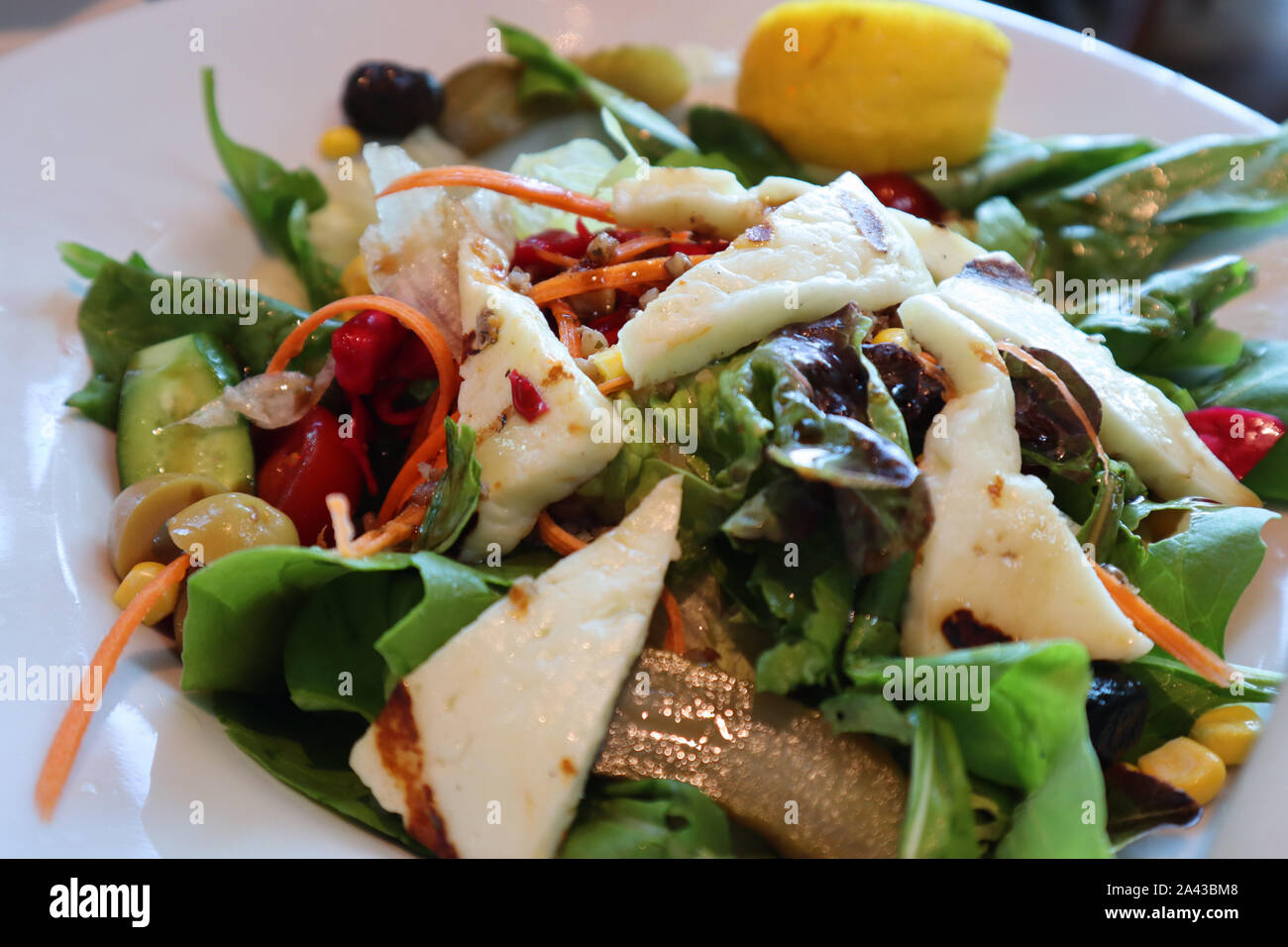 Closeup Vegetarian Salad with White Cheese. Delicious Diet Dinner. Healthy Fresh Food. Stock Photo