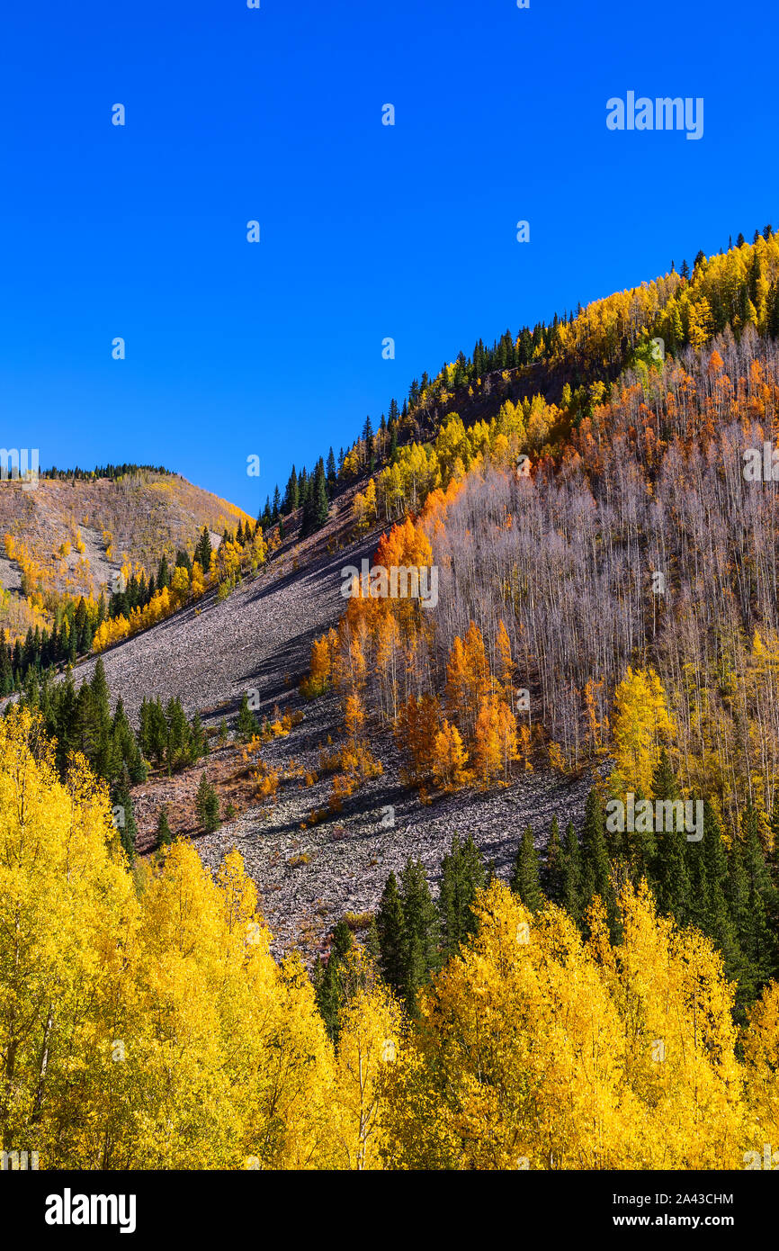 Autumn Aspen trees on a hillside in yellow and orange fall colors along the Million Dollar Highway in the San Juan Mountains near Silverton, Colorado Stock Photo