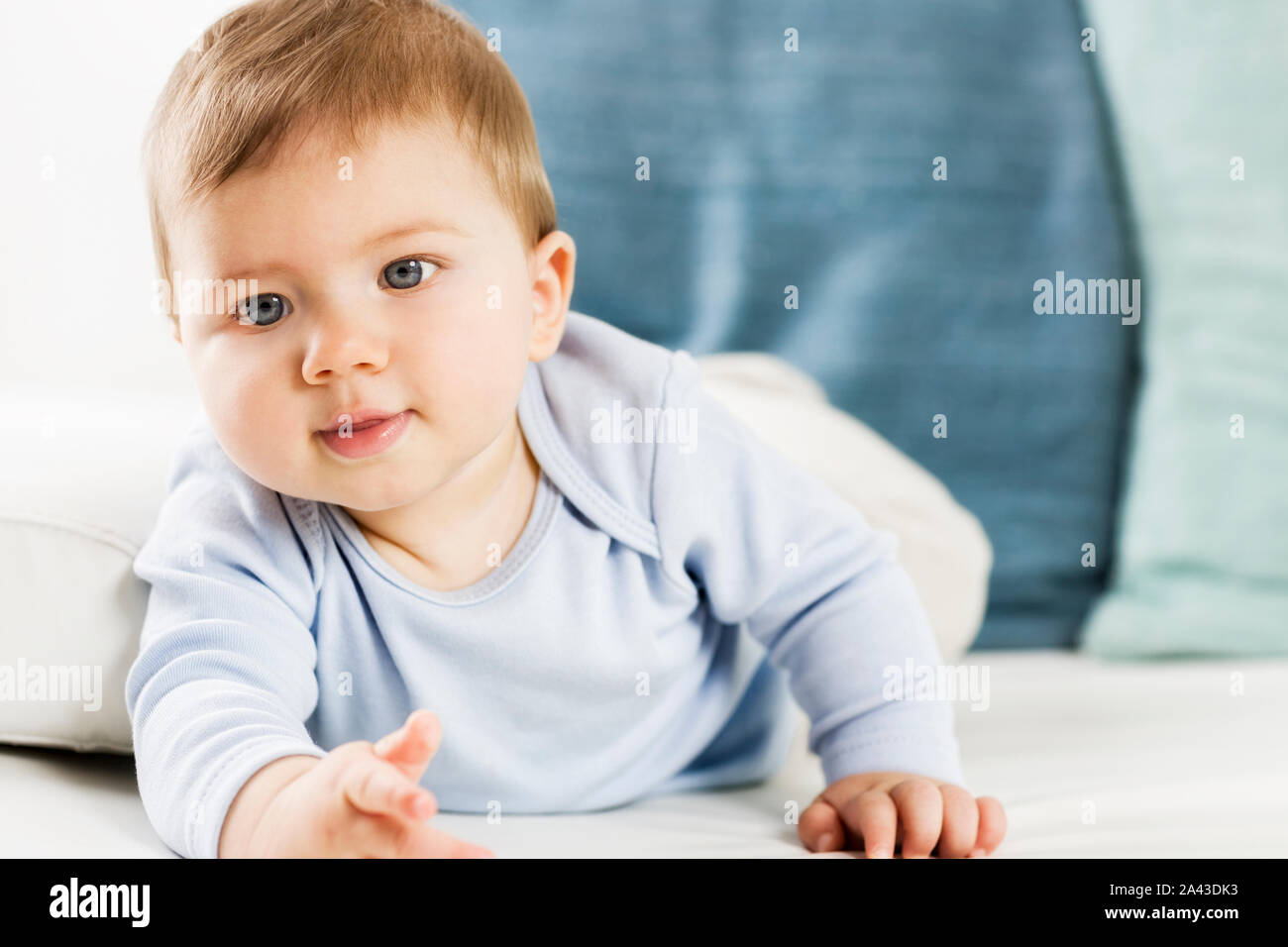 Adorable baby boy lying on belly on white couch Stock Photo Alamy