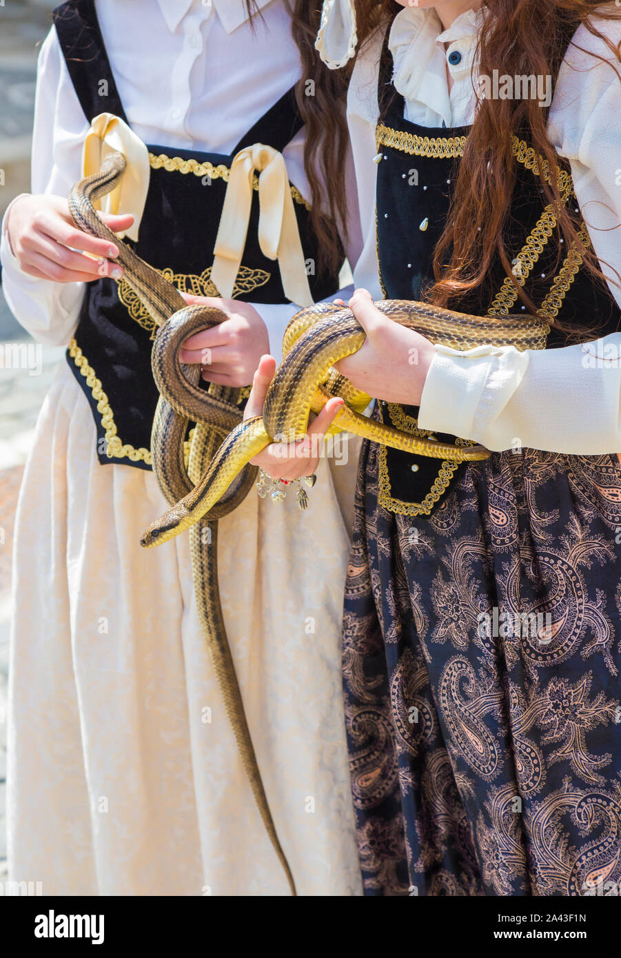 Snake Rituals Ritual Of Snakes High Resolution Stock Photography and Images - Alamy