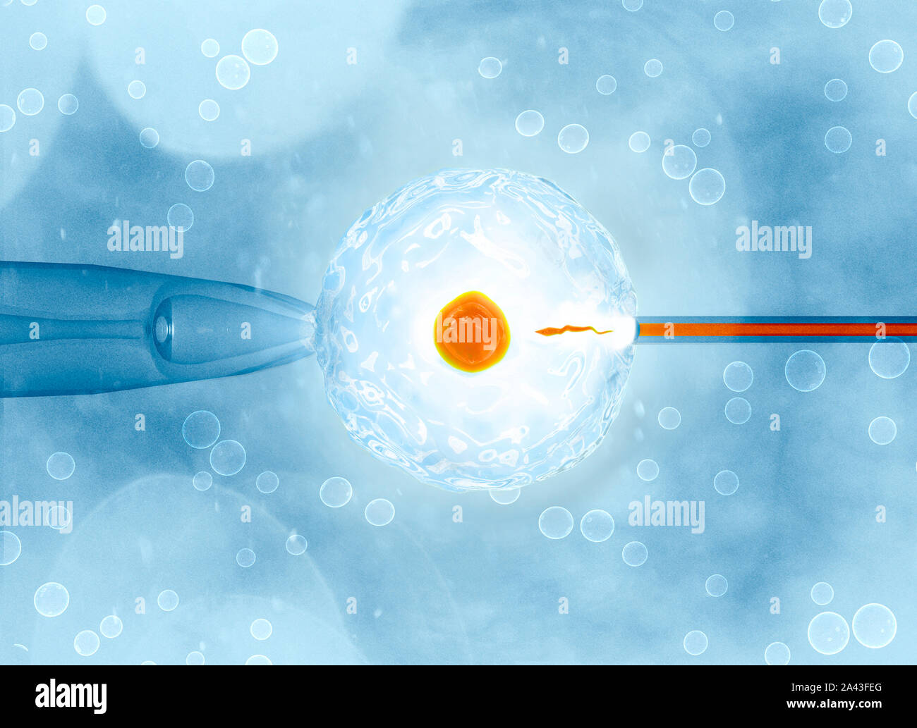 Artificial or assisted fertilization is the process by which the union of gametes is artificially carried out, by observation under a microscope, 3d r Stock Photo