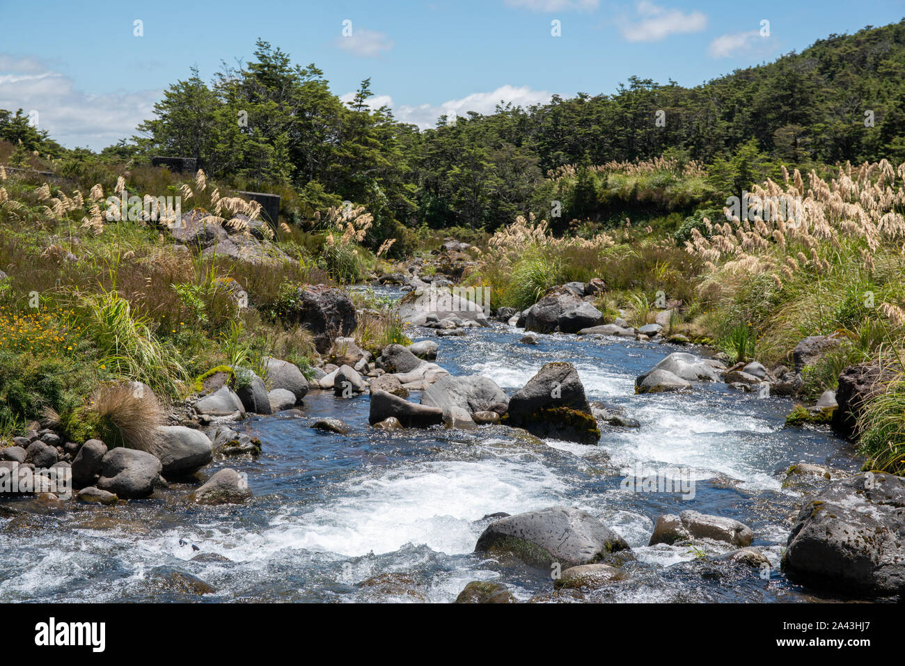 Rocks boulders and rapids in a small rushing mountain river Stock Photo ...