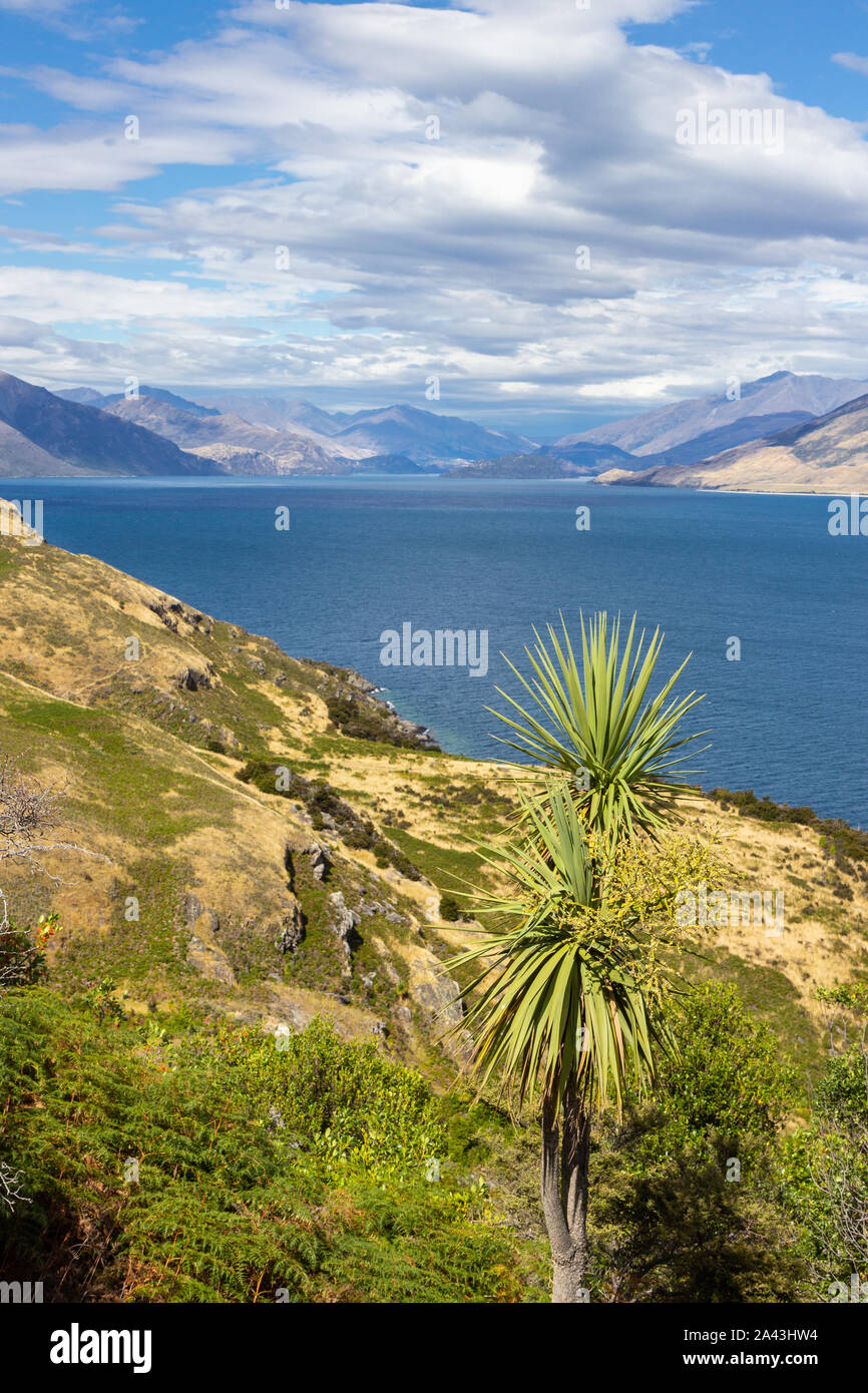 view of lake Wanaka, south island, New Zealand Stock Photo - Alamy