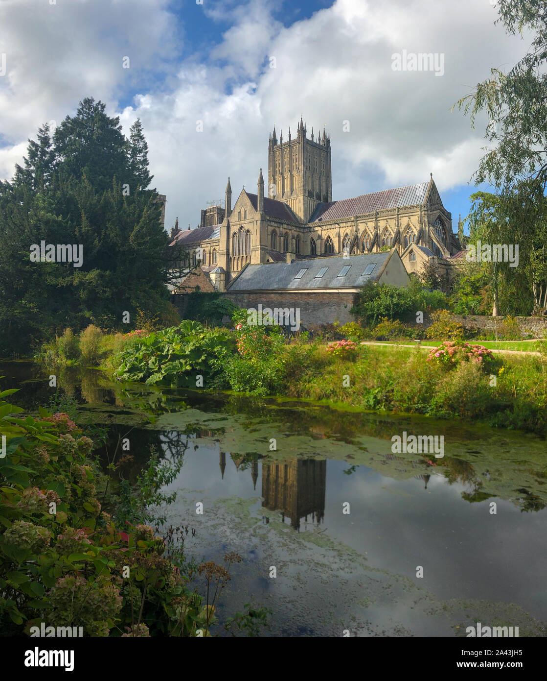 Wells Cathedral reflected in the moat of the Bishop's Palace, Wells. Stock Photo