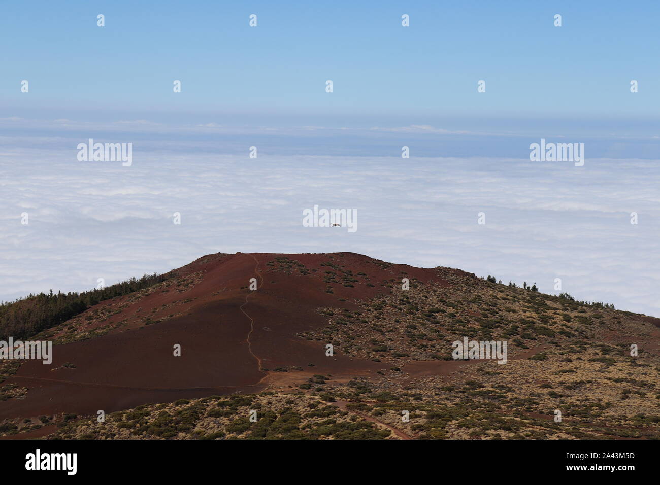 Nature. Mountains. Backpacking. Freedom. Clouds. Tenerife. Volcano. Above the clouds. Sky line. Stock Photo