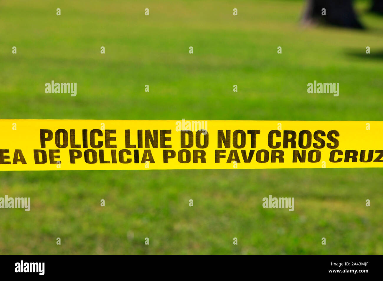 Crime scene ribbon hi-res stock photography and images - Alamy