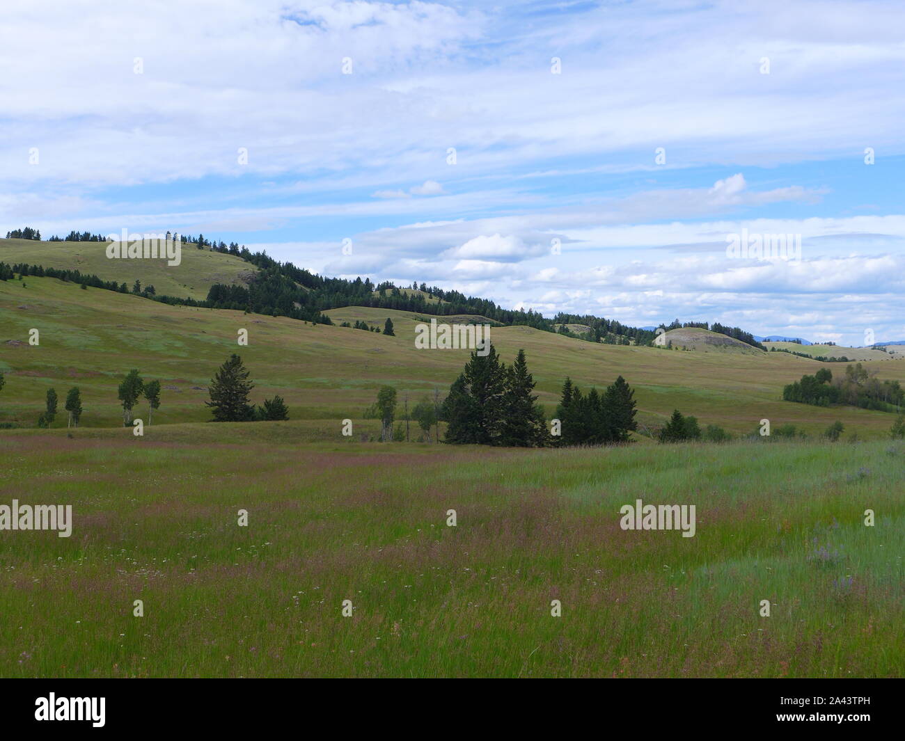 montana landscape Stock Photo