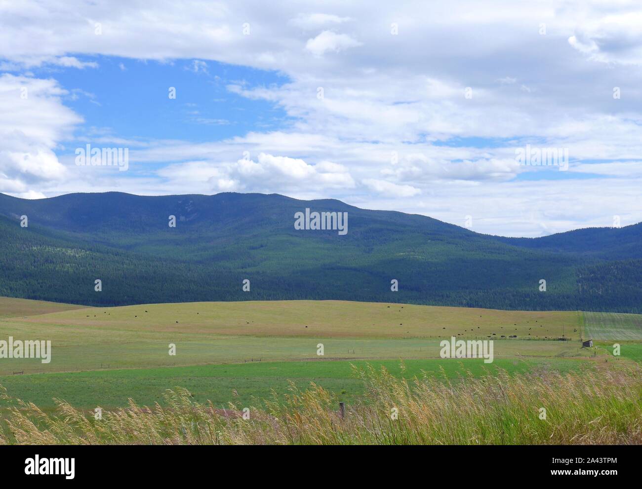 montana landscape Stock Photo