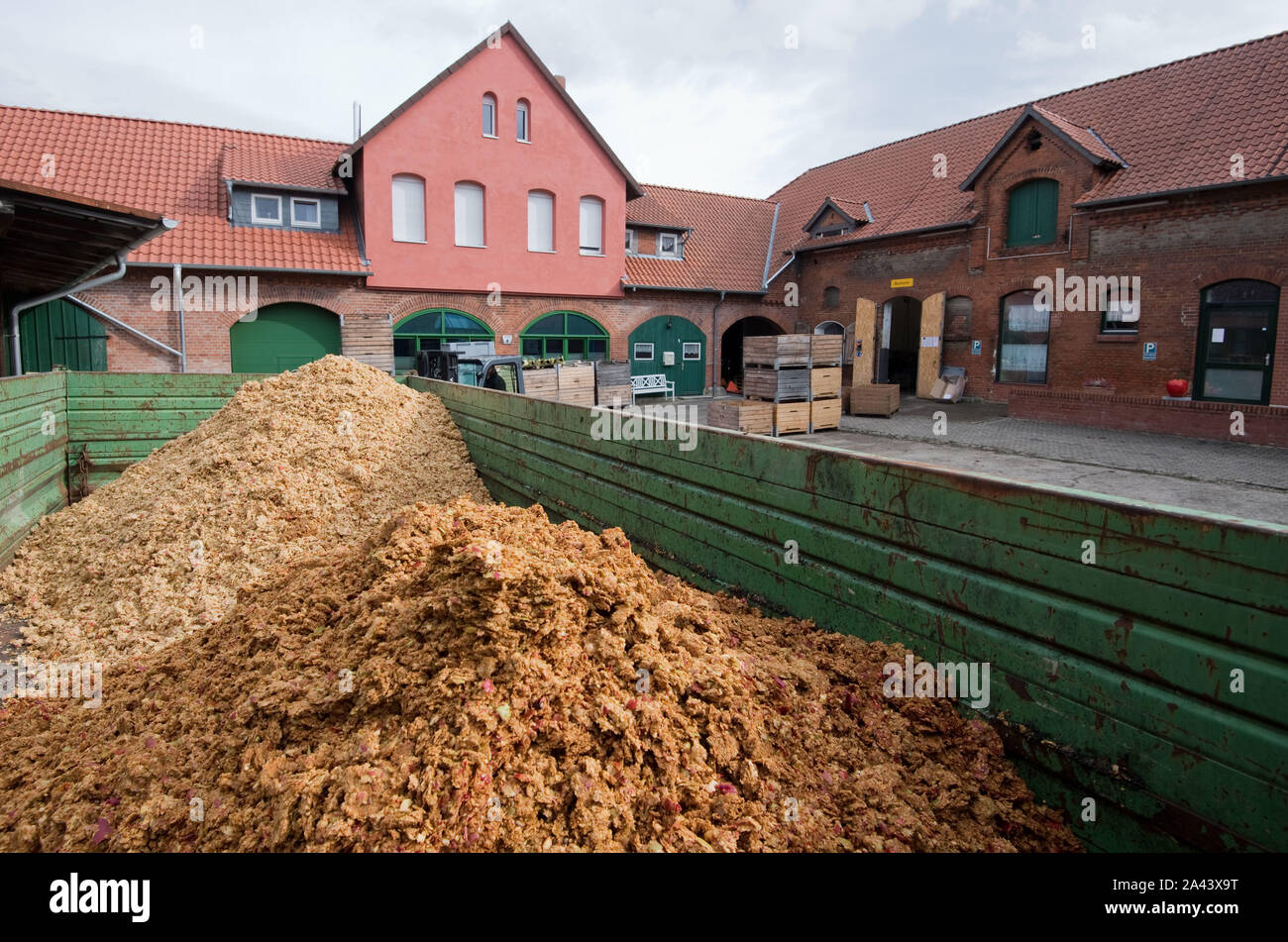 Springe, Germany. 11th Oct, 2019. Pomace (press residue) lies on a trailer at the farm's own mostery at Obsthof Gestorf. In mid-October, the must production facilities in Lower Saxony are booming. Credit: Julian Stratenschulte/dpa/Alamy Live News Stock Photo