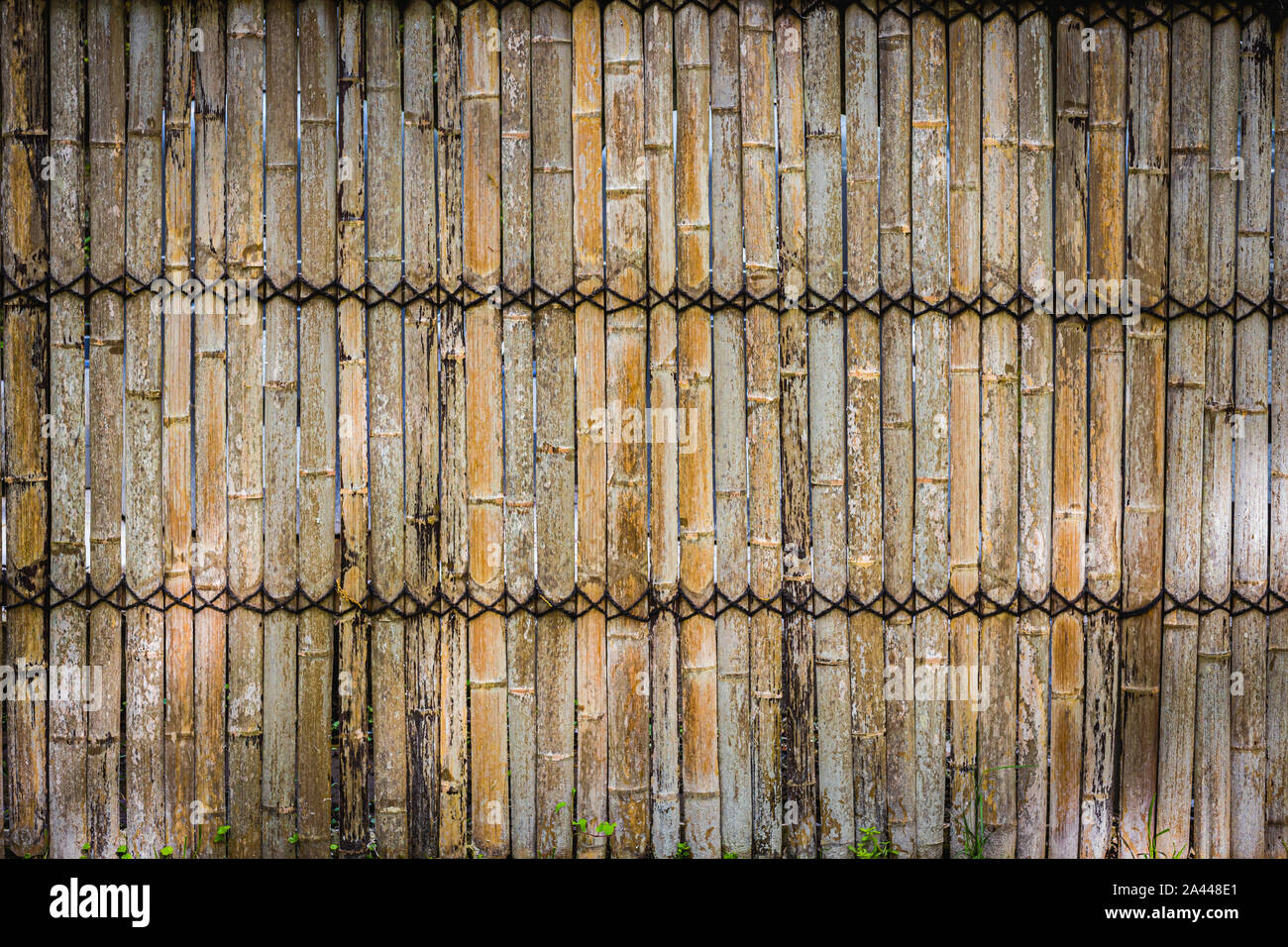 Bamboo wall texture background with The rope is tied together in a row. Stock Photo