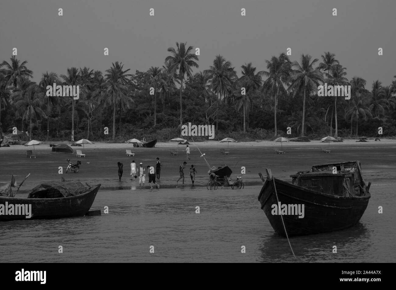 Bangladeshi trees Black and White Stock Photos & Images - Alamy