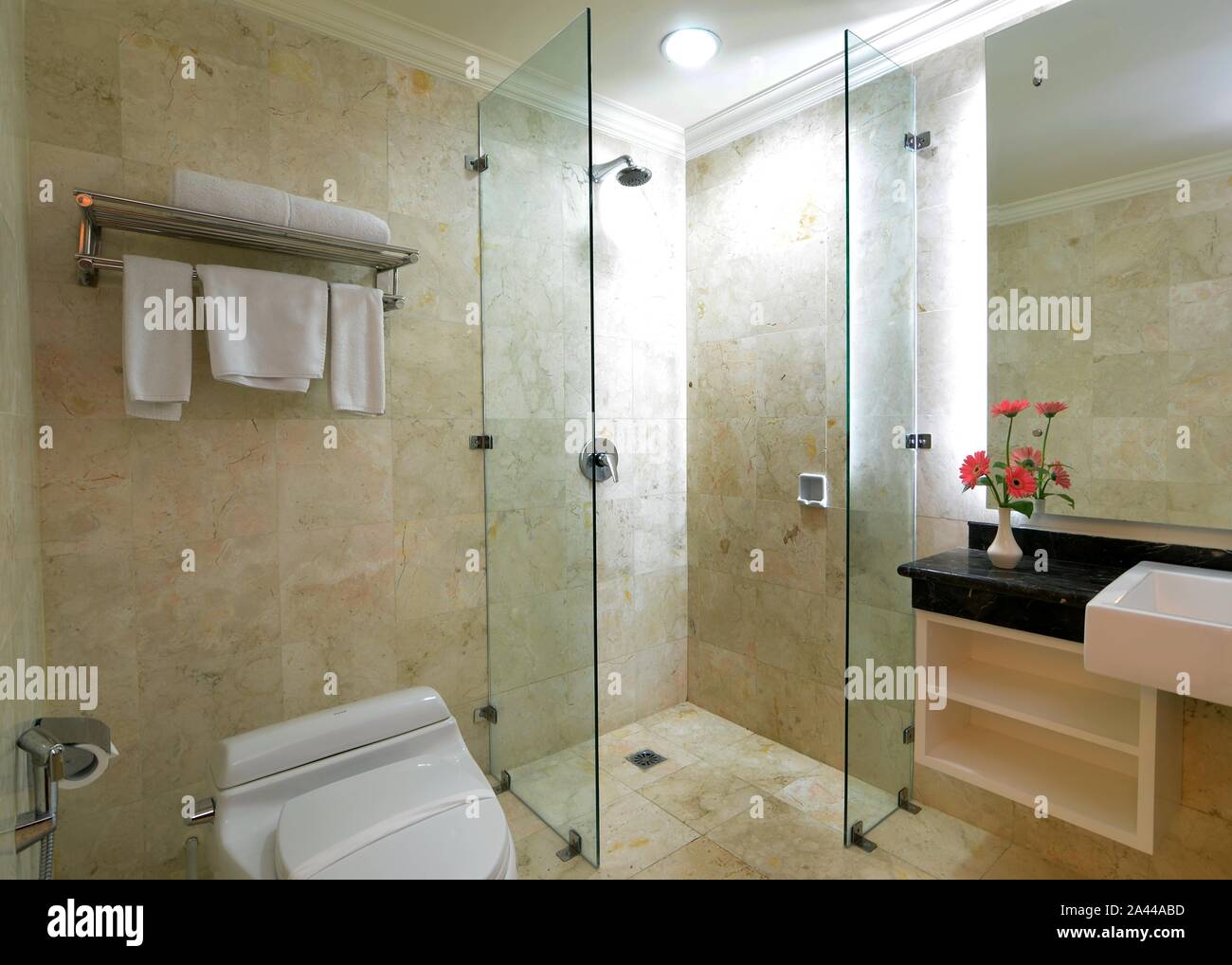 Interior, exclusive bathroom Stock Photo - Alamy