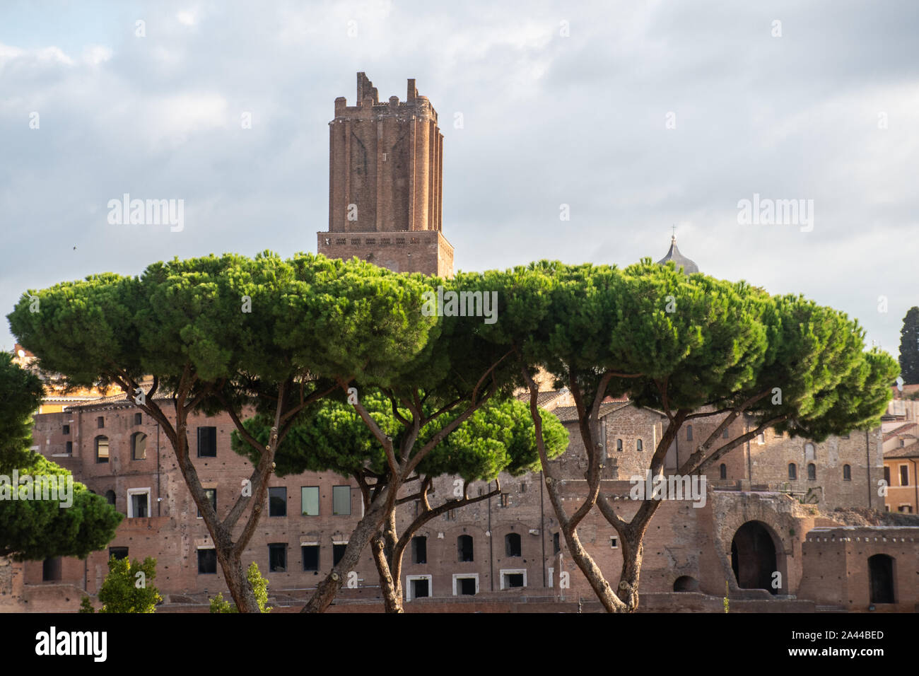 Palatine Hill Rome with Umbrella pine trees in foreground and tower behind Stock Photo