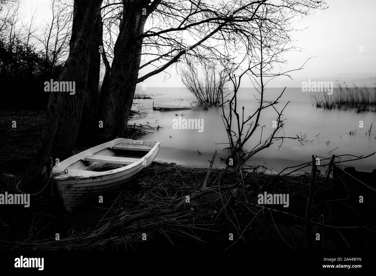Old fish pond Black and White Stock Photos & Images - Alamy