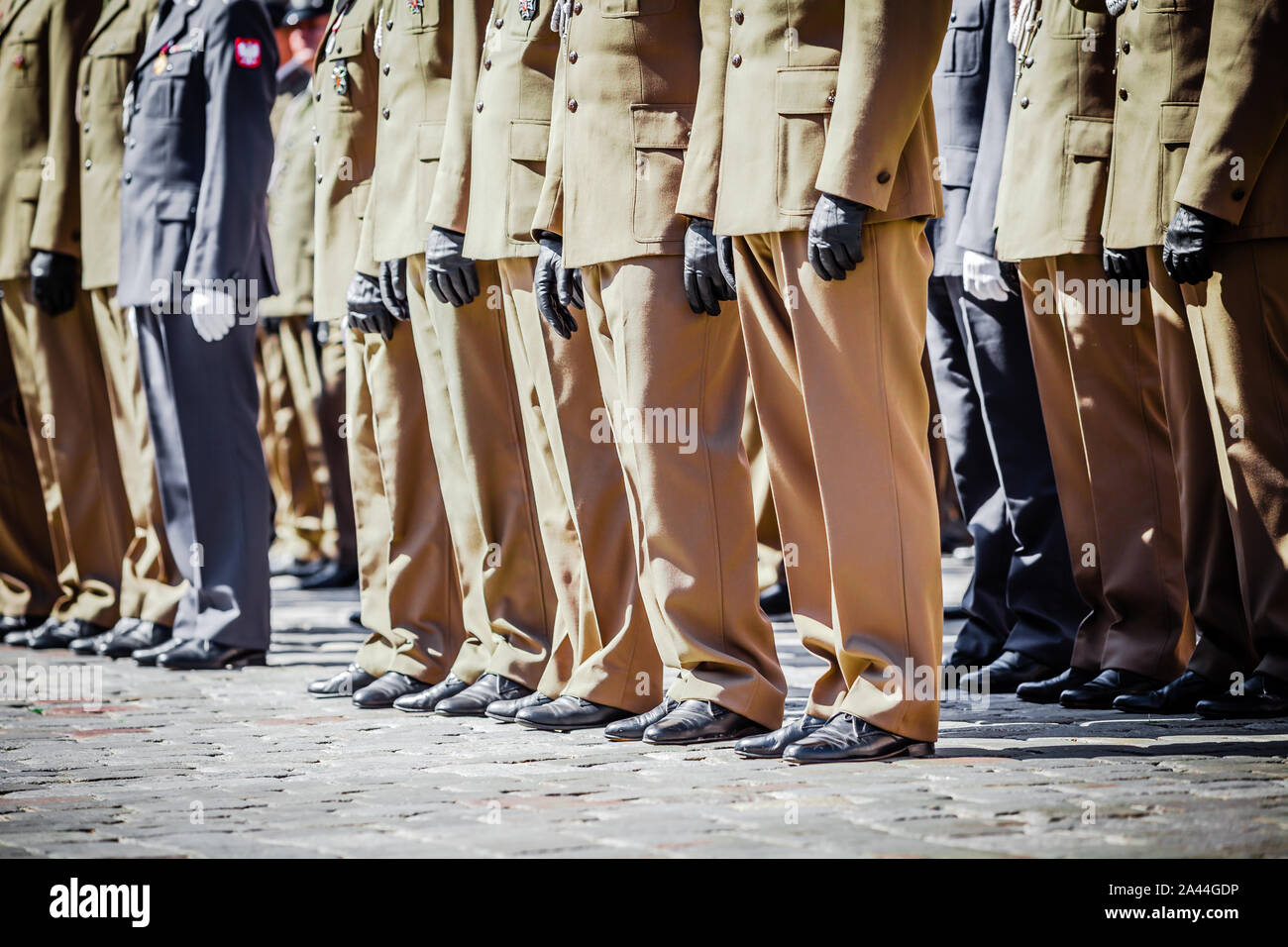 army independence day