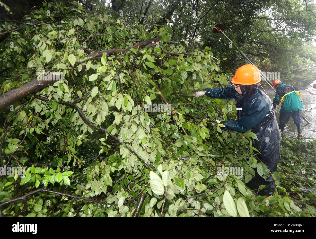 Chinese workers clear away tree branches broken by strong wind caused