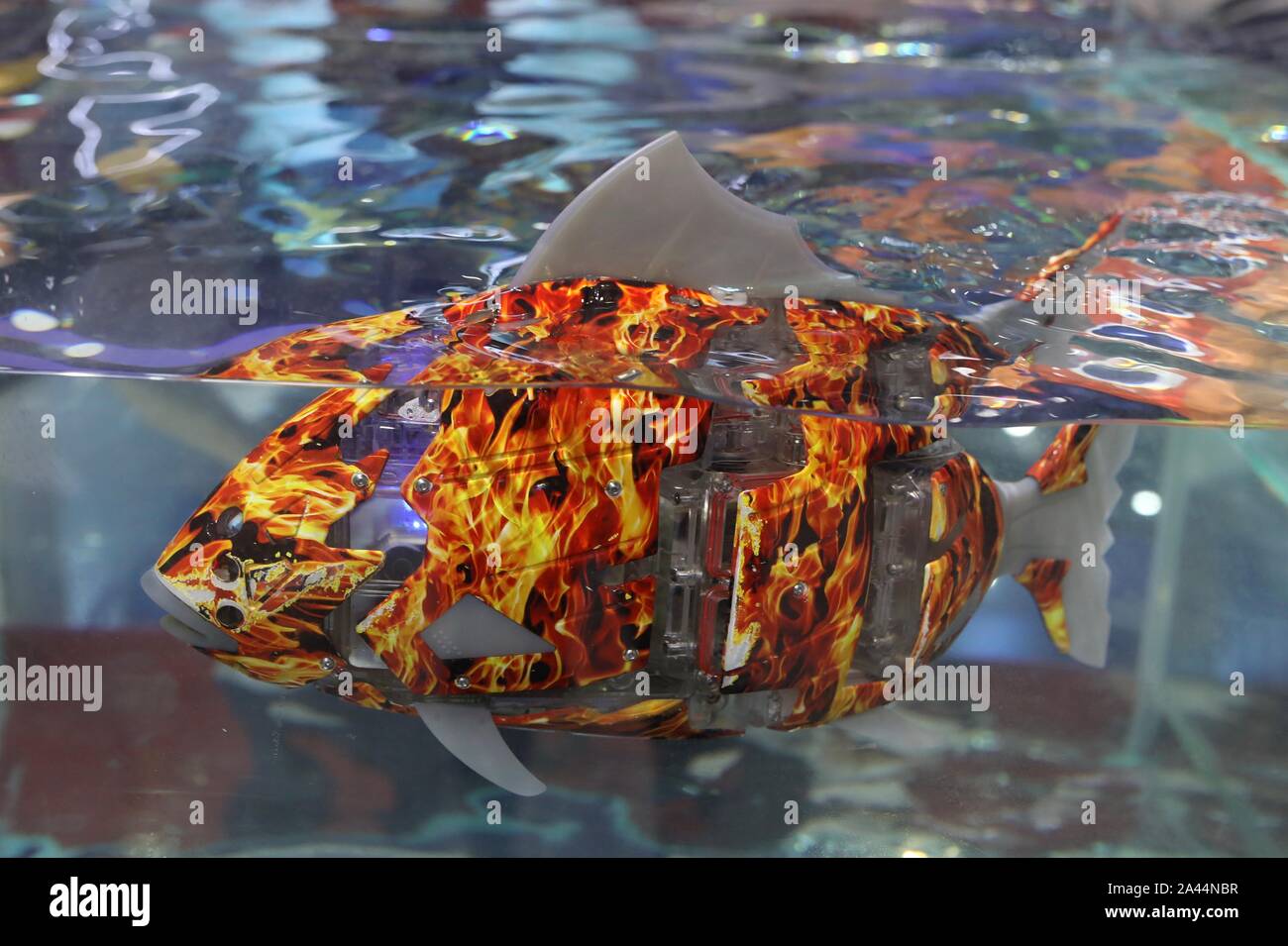 Techbro Fish A robot Fish-Miro developed by Hi-Techpia Technology (Shenzhen) Co ...