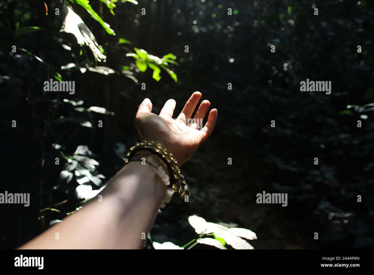 Back to nature and Clean Living Concept Stock Photo