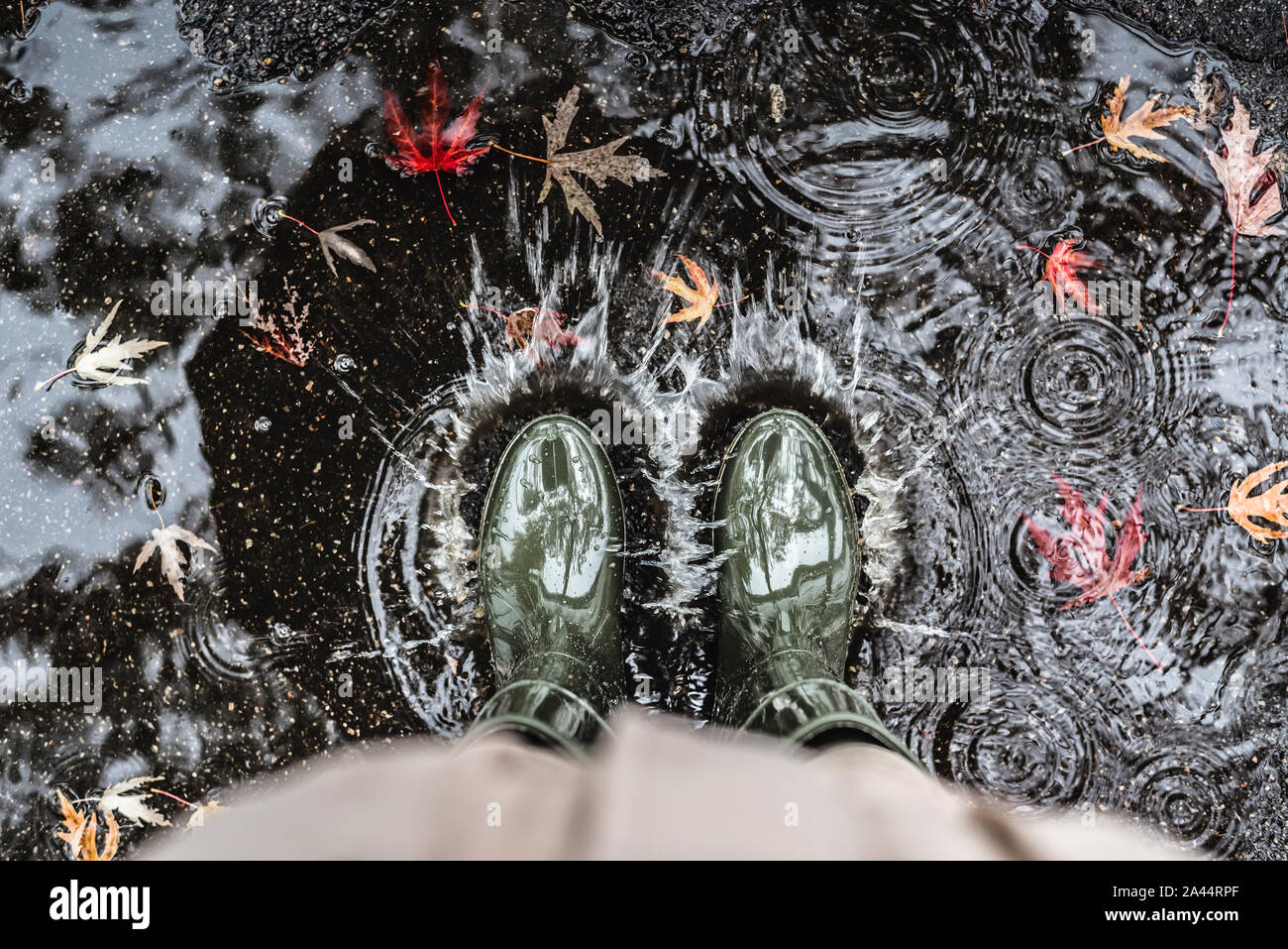 Feet in olive green rubber boots standing in a puddle with fallen ...