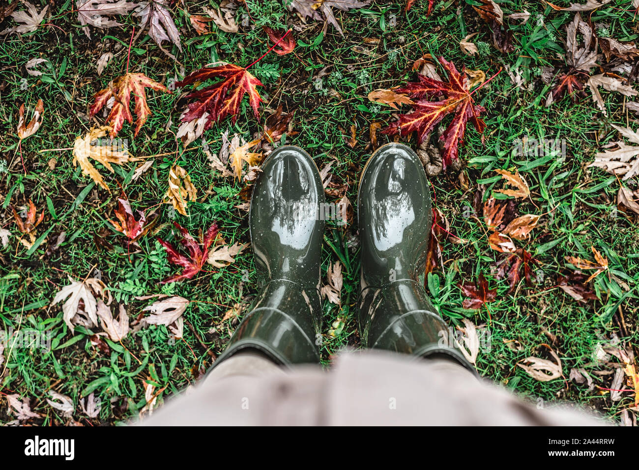 Feet in olive green rubber boots standing on green grass with fallen ...