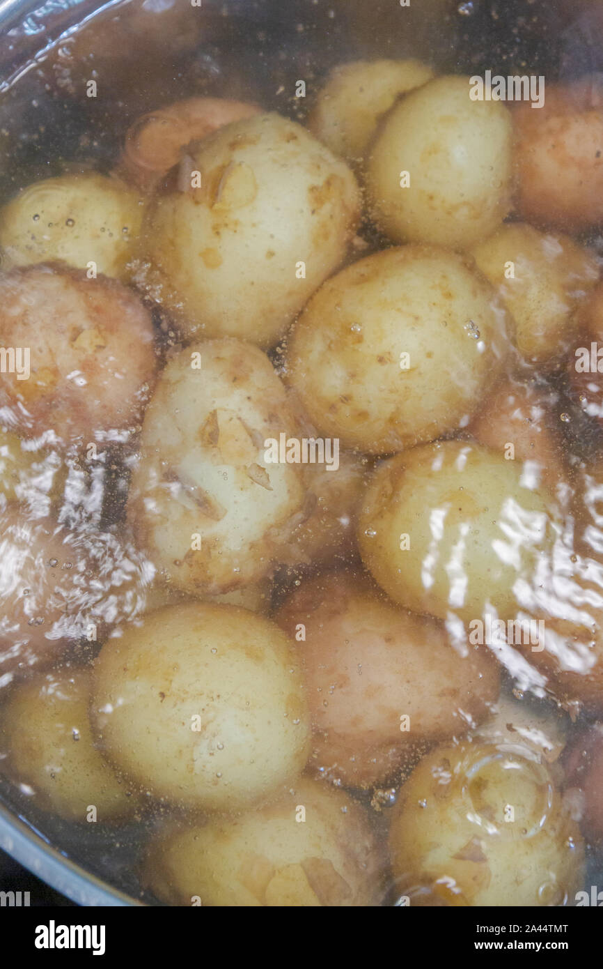 New potatoes boil in their skins in a saucepan Stock Photo Alamy