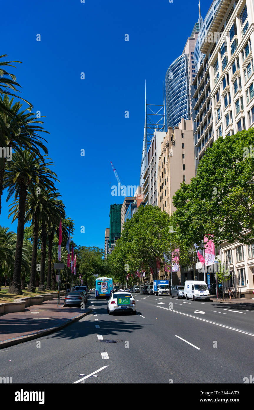 Sydney, Australia - November 24, 2016: Macquarie street in Sydney Central Business District with cars on the road and palm trees on the roadsides. Urb Stock Photo
