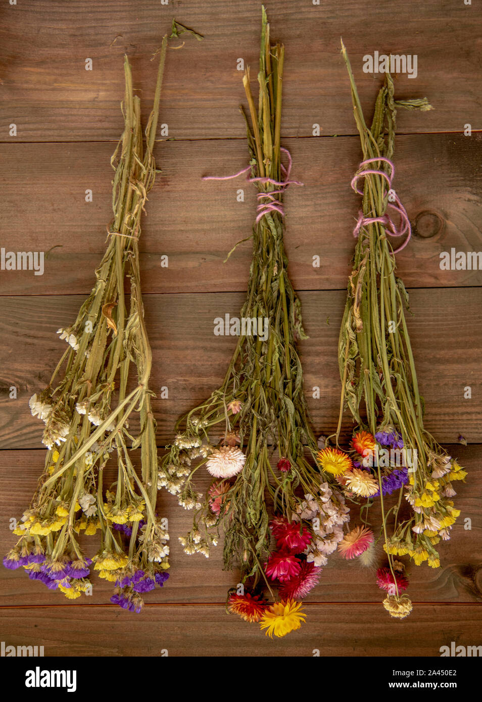 Three bouquets of dried flowers hang on the wall. Stock Photo