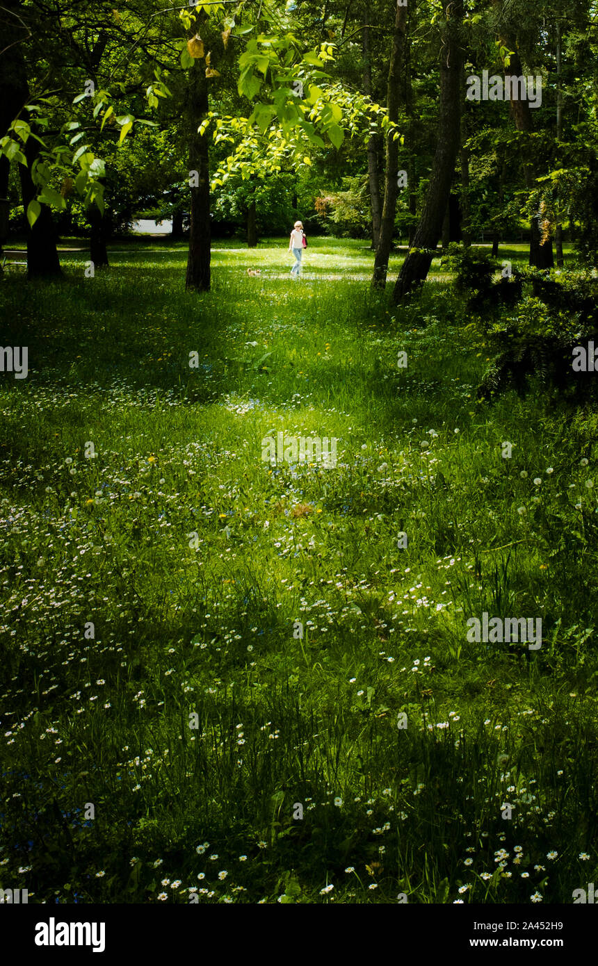 Woman in a park with a dog hi-res stock photography and images - Alamy