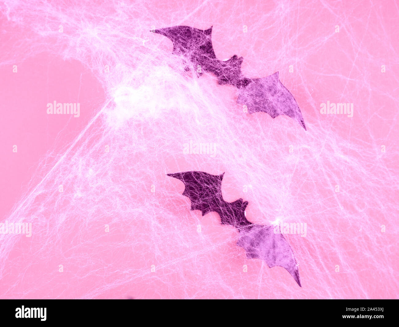 pink Halloween concept. bats and cobwebs on pink background. Stock Photo