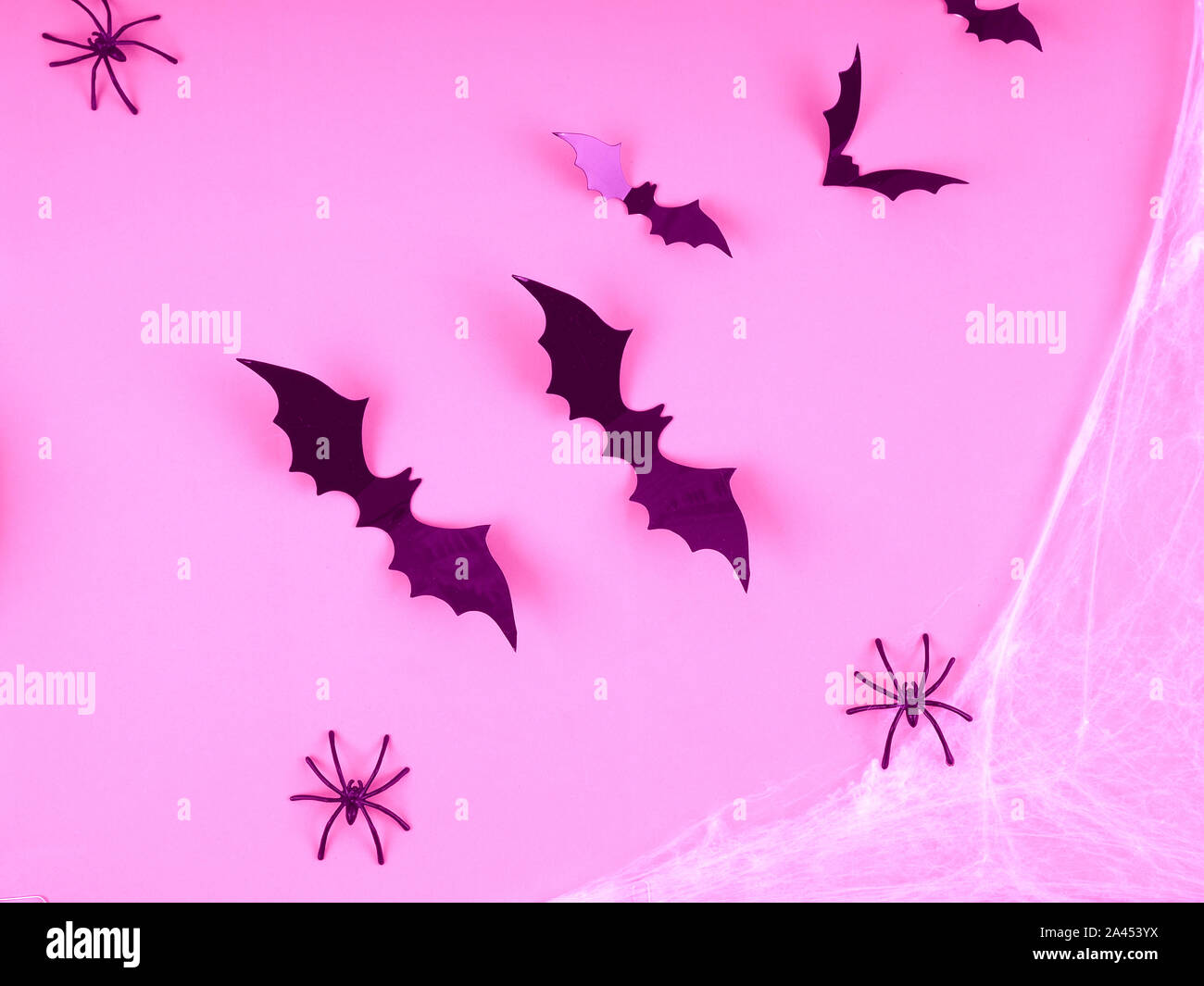 pink Halloween concept. bats and cobwebs on pink background. Stock Photo