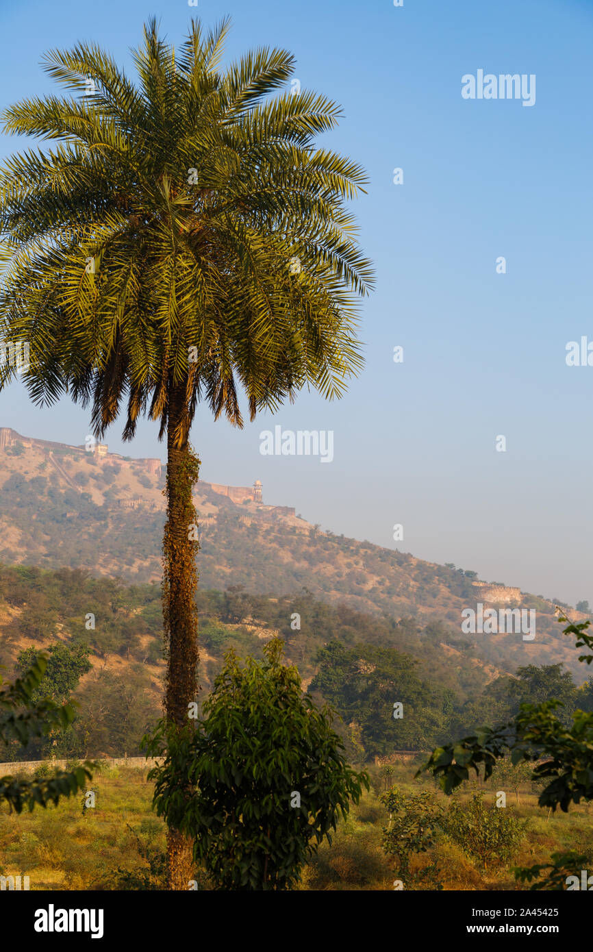 Amber Fort in India Stock Photo - Alamy