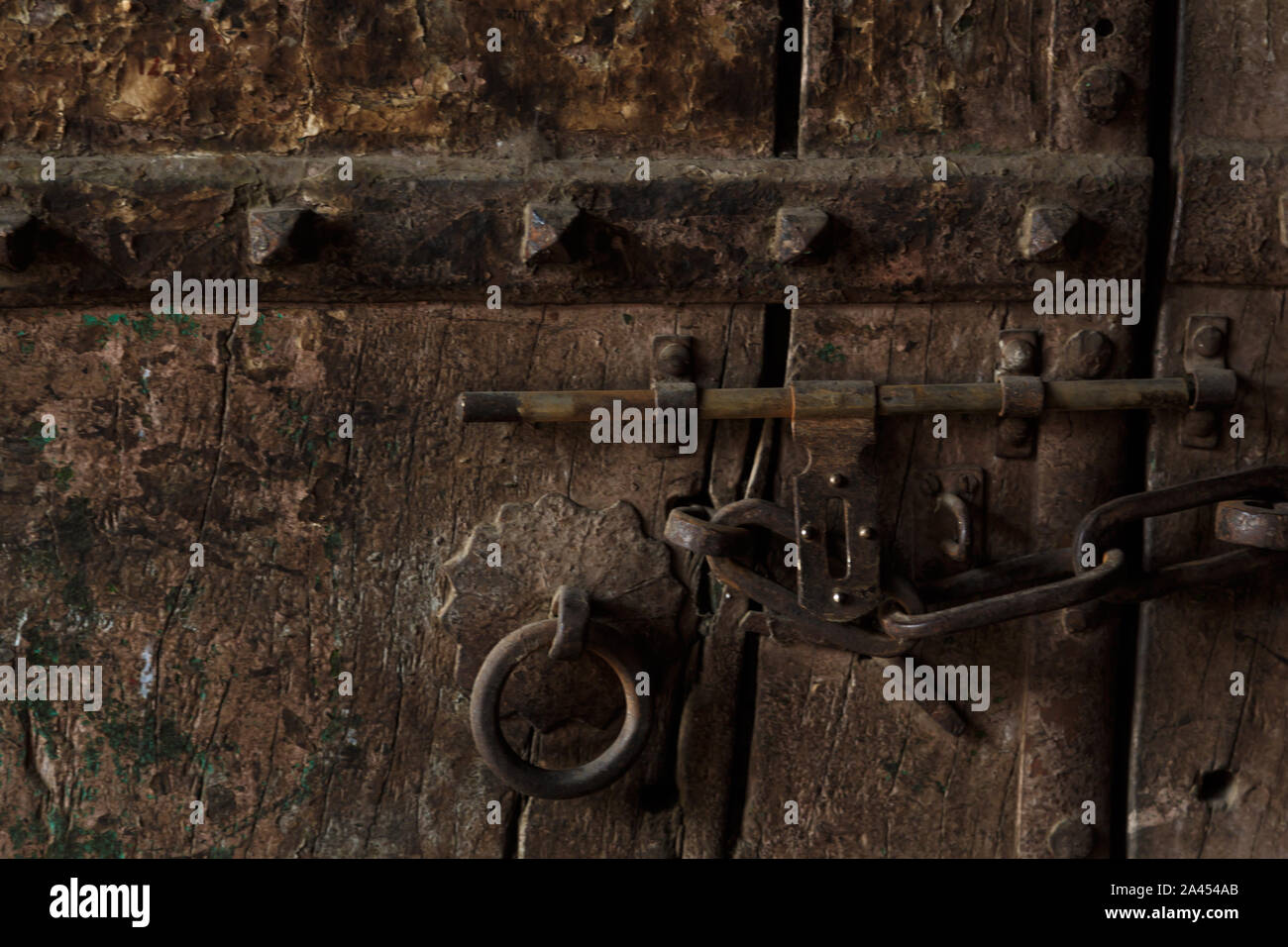 Old beautiful door in india Stock Photo