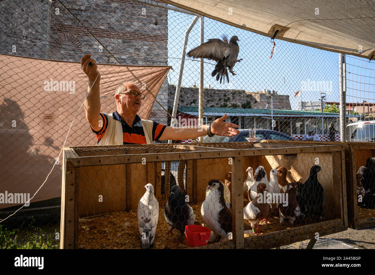 Pigeon vendor at the Pigeon Market, Istanbul, Turkey Stock Photo