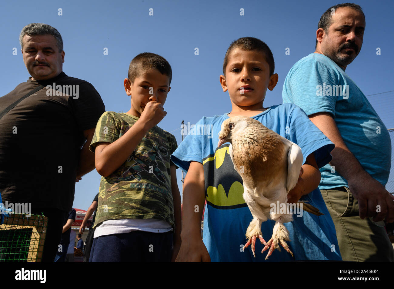 Boys with a pigeon at the Pigeon Market, Istanbul, Turkey Stock Photo