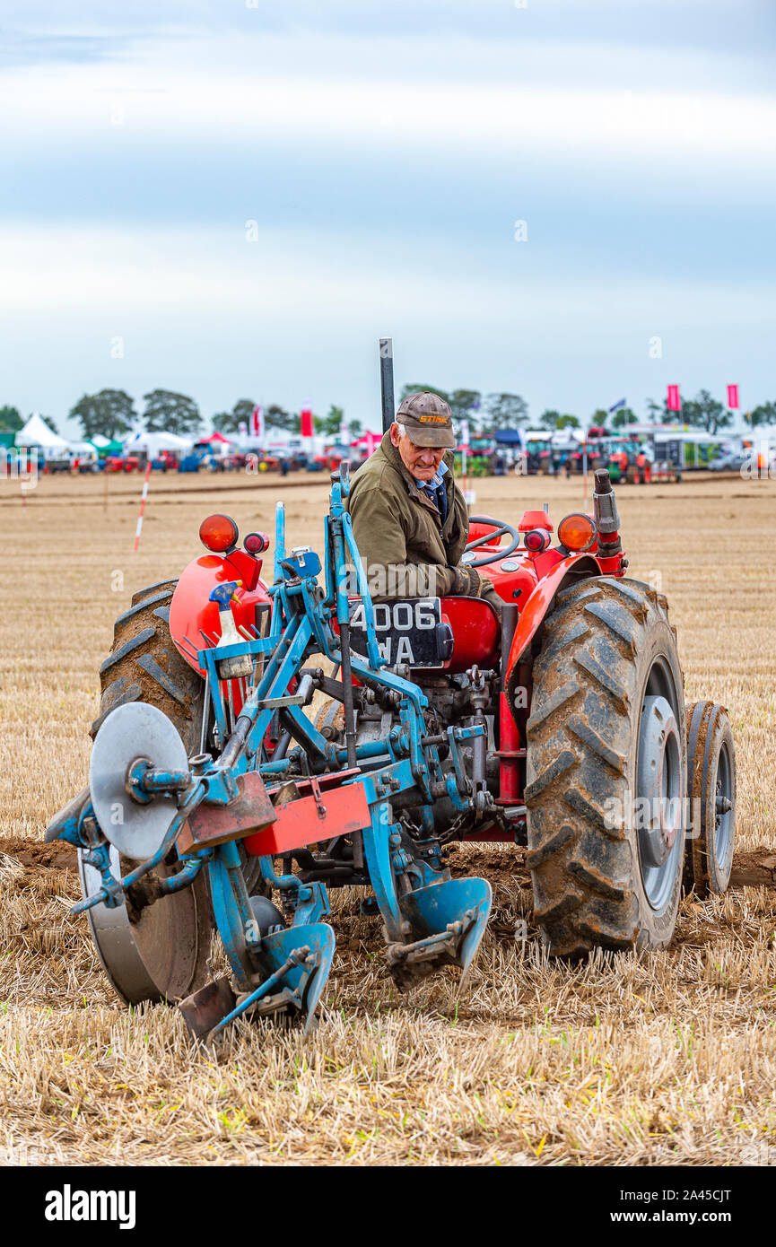 Nocton, Lincoln, Lincolnshire, UK. 12th October 2019.    Over 200 champion ploughmen and women from all over the country have assembled near Lincoln to compete in the 2019 British National Ploughing Championships.  The competition includes many types of plough and styles of ploughing across the 250-acre site; including heavy horses, vintage tractors and steam ploughing engines.  The championships, now in there 69th year, are organised by The Society of Ploughmen with the objective of promoting and encourage the art, skill and science of ploughing the land. Credit: Matt Limb OBE/Alamy Live News Stock Photo